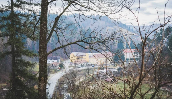 風光明媚な森の背後にある歴史的住居の風景 — ストック写真