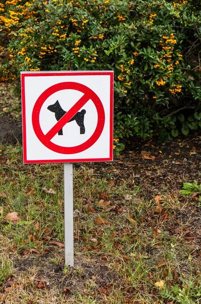 Disparo Vertical Permiten Perros Signo Una Zona Césped —  Fotos de Stock