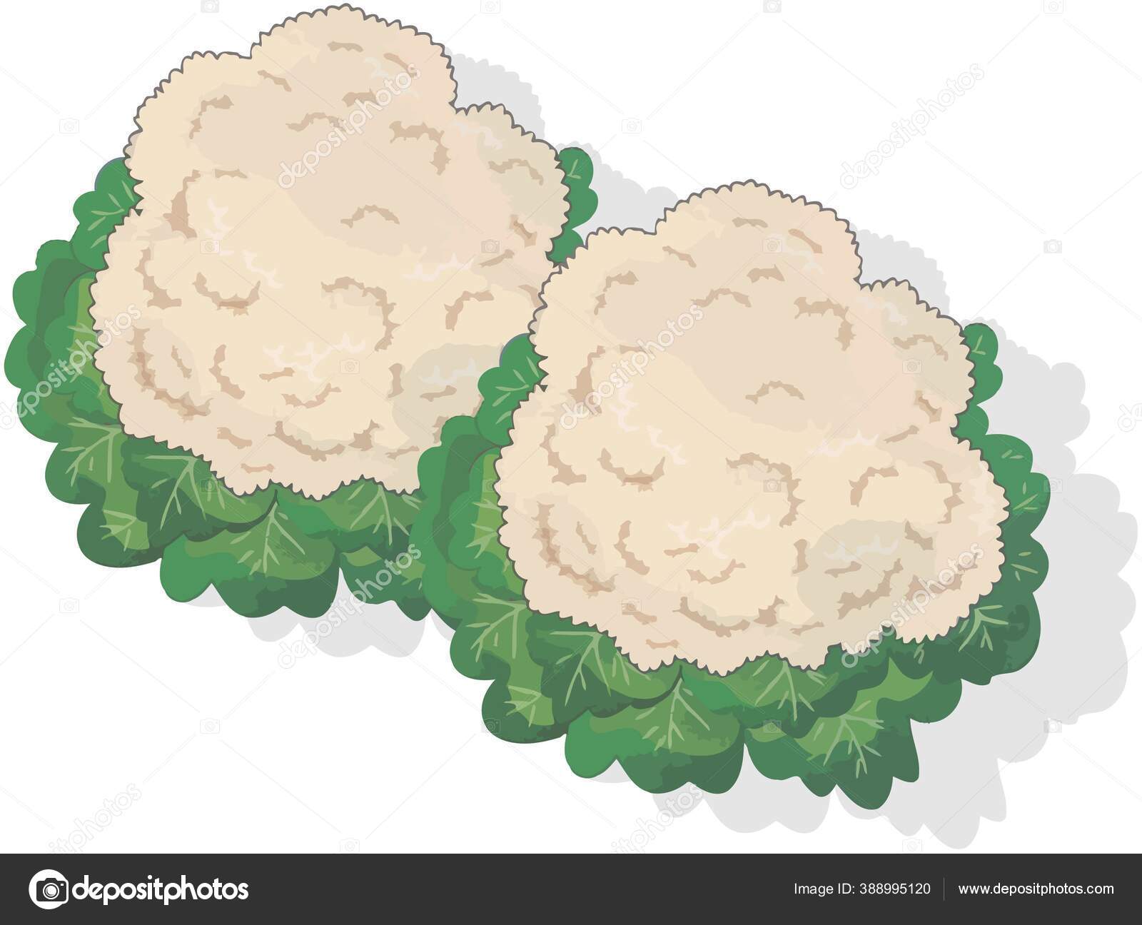 Cauliflower cartoon Stock Photos, Royalty Free Cauliflower cartoon Images |  Depositphotos