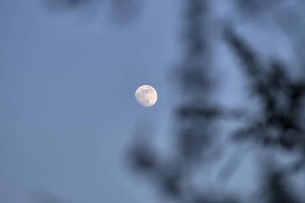 Enfoque Selectivo Una Luna Cielo Azul Por Noche — Foto de Stock