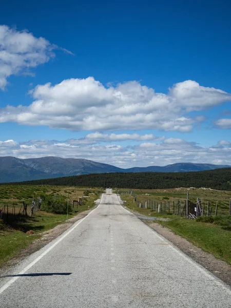 Plano Vertical Largo Camino Entre Campos Verdes Con Montañas Cielo — Foto de Stock