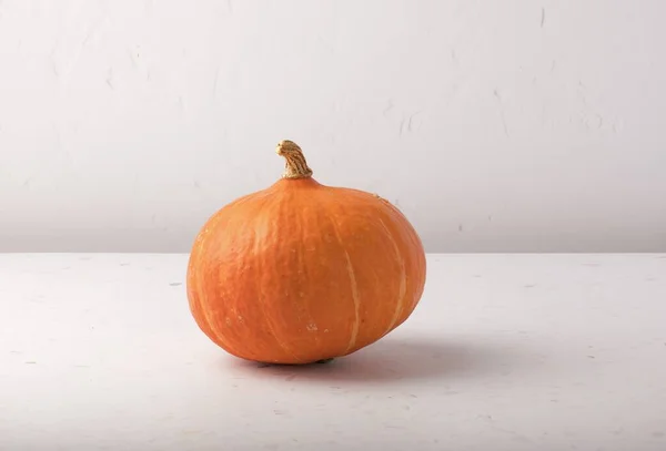 Primer Plano Calabaza Sobre Fondo Blanco — Foto de Stock