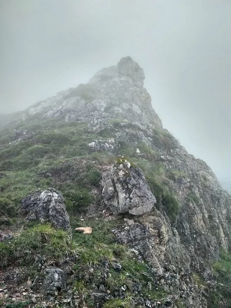日中の濃い霧の中で灰色の石の山々の水平ショット — ストック写真
