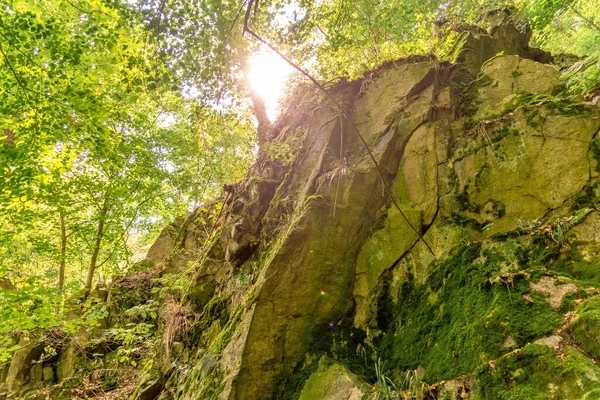 Сонце Світить Крізь Дерева Скелі — стокове фото