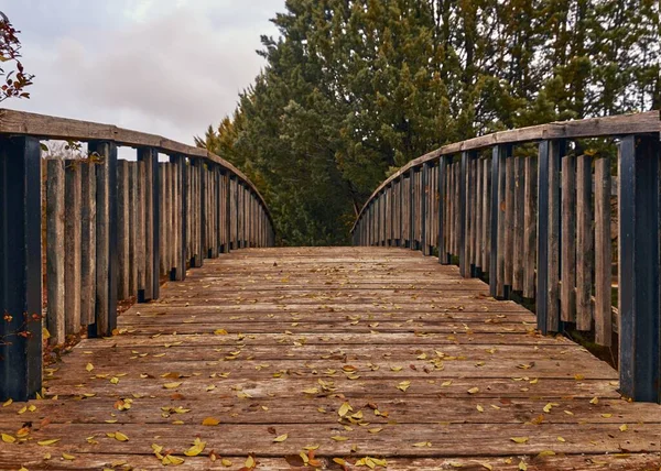 Las Hojas Coloridas Puente Madera Otoño — Foto de Stock