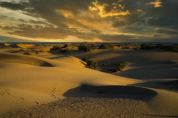 Plano Horizontal Dunas Arena Desierto Con Unas Pocas Huellas — Foto de Stock