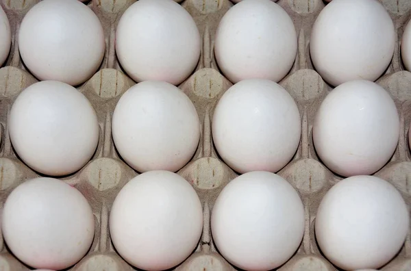 蛋盒中排列的白色蛋的高角度特写镜头 — 图库照片