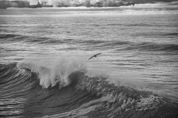 Tiro Aéreo Mar Ondulado Sob Céu Nublado — Fotografia de Stock