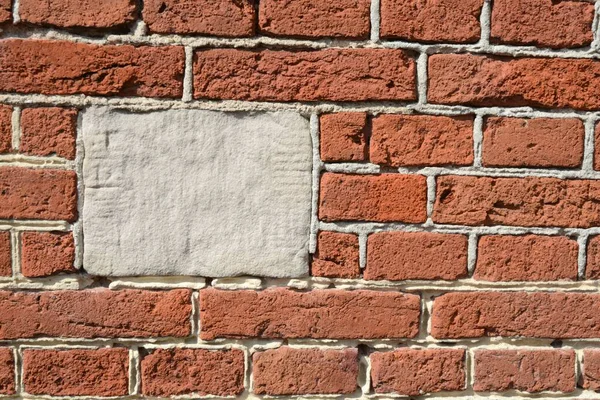 콘크리트 질감의 클로즈업 배경이나 벽지에 — 스톡 사진