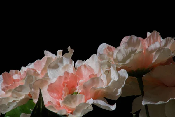 Крупним Планом Знімок Рожевих Білих Штучних Квітів — стокове фото