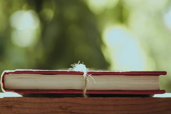 Close Livro Vermelho Envolto Com Linha Marrom Uma Superfície Madeira — Fotografia de Stock