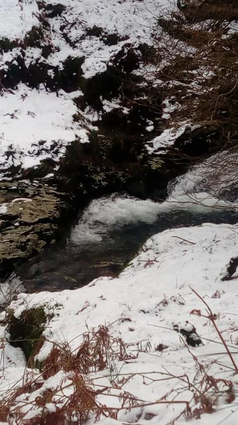 Річка Тече Через Ліс Вкритий Снігом — стокове фото