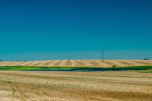 Campi Importanza Agricola Sotto Cielo Blu — Foto Stock