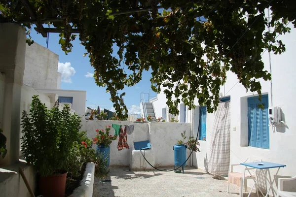 Будинок Синіми Вікнами Виноградниками Росте Подвір Санторіні Греція — стокове фото