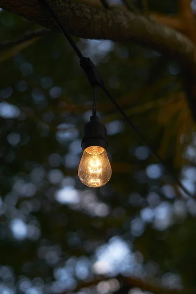 Een Verticale Close Van Een Gloeilamp Met Een Wazige Achtergrond — Stockfoto