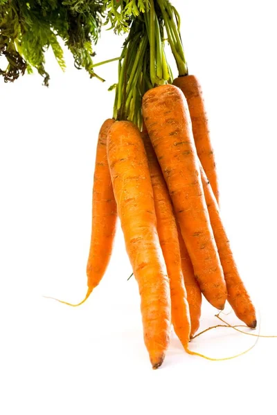 Verse Smakelijke Wortelen Geïsoleerd Een Witte Achtergrond — Stockfoto