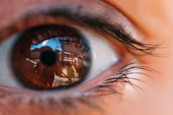 Макроселективный Снимок Человеческого Коричневого Глаза — стоковое фото