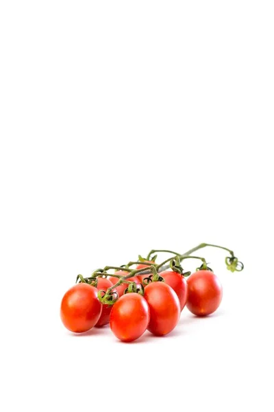 Die Roten Und Saftigen Tomaten Der Roma Auf Weißem Hintergrund — Stockfoto