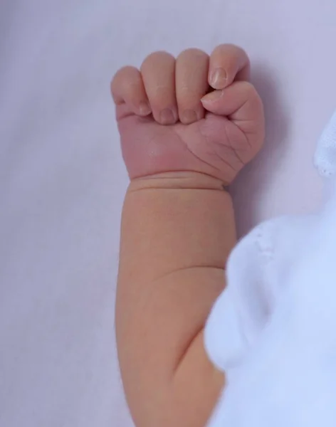 Primo Piano Una Mano Carina Del Bambino — Foto Stock