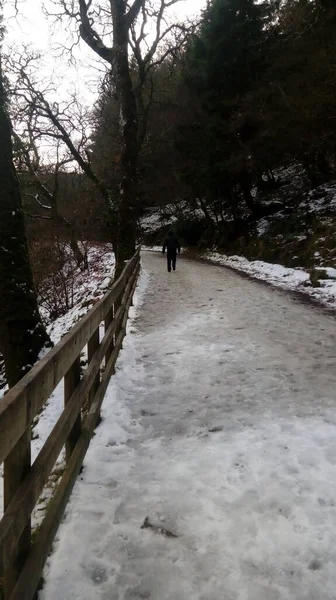 Вертикальный Снимок Человека Идущего Парку Покрытому Снегом — стоковое фото