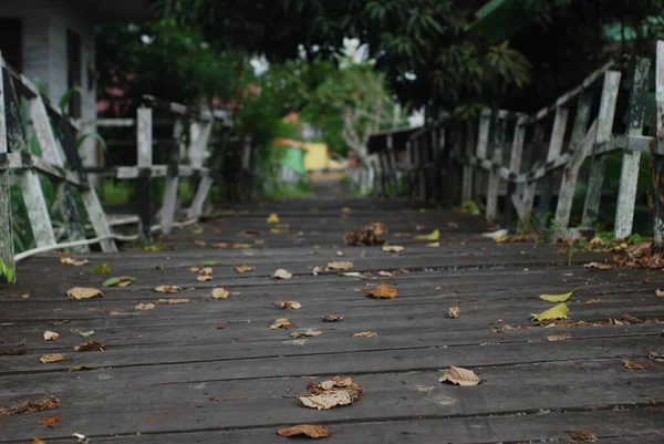 一张秋天树叶覆盖的古老木制楼梯的风景照片 — 图库照片