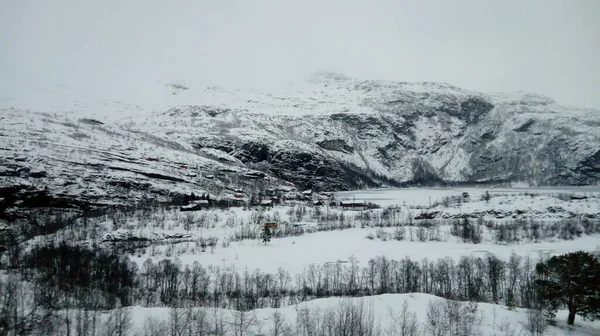 Montanhas Árvores Cobertas Neve Durante Inverno — Fotografia de Stock