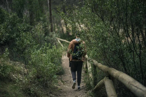 Человек Идущий Через Деревья Леса — стоковое фото
