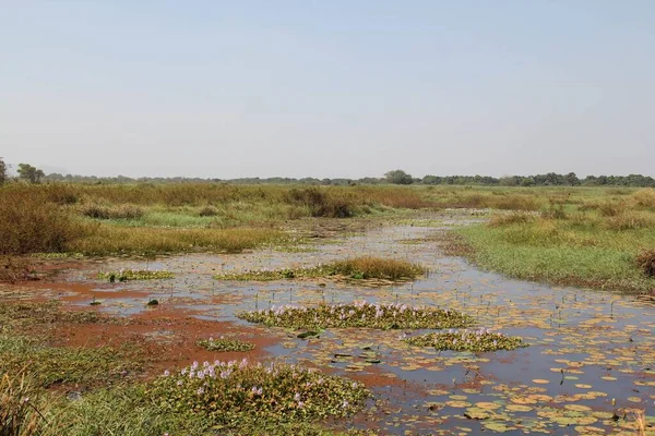 Ein Kleiner Teich Mitten Grünen Unter Wolkenverhangenem Himmel Südsudan — Stockfoto