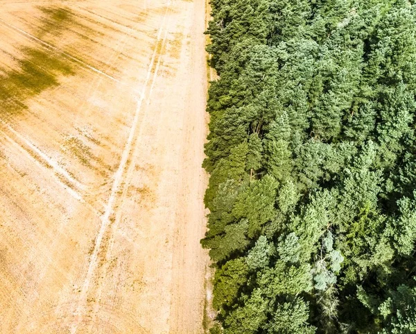 Een Hoge Hoek Opname Van Bomen Naast Agrarische Landschappen — Stockfoto