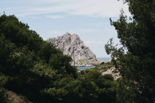 Una Hermosa Vista Una Orilla Verde Rocosa Cubierta Árboles Hierba — Foto de Stock