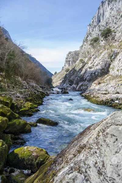 Dağlar Arasında Kayaların Arasından Akan Güzel Bir Nehrin Dikey Görüntüsü — Stok fotoğraf