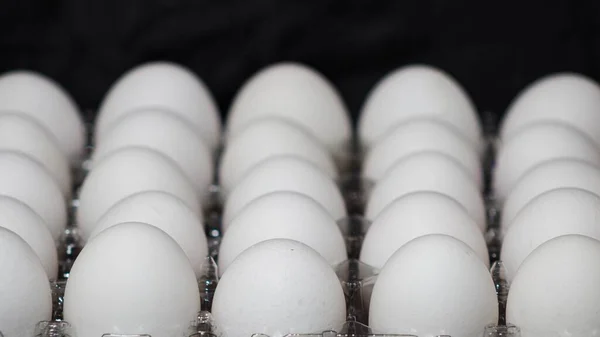 黒の背景に卵のカートンのクローズアップ — ストック写真
