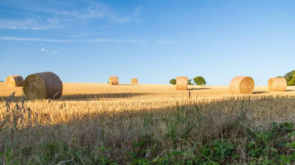 Piękny Widok Stogi Siana Środku Uprawnej Farmy Schwytany Francuskiej Wsi — Zdjęcie stockowe