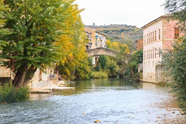 秋天在一座城镇的拱桥下流过的一条小河 — 图库照片