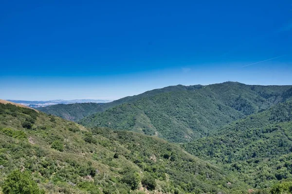 Colline Foreste Della Sierra Azul Open Space Preserve Negli Stati — Foto Stock