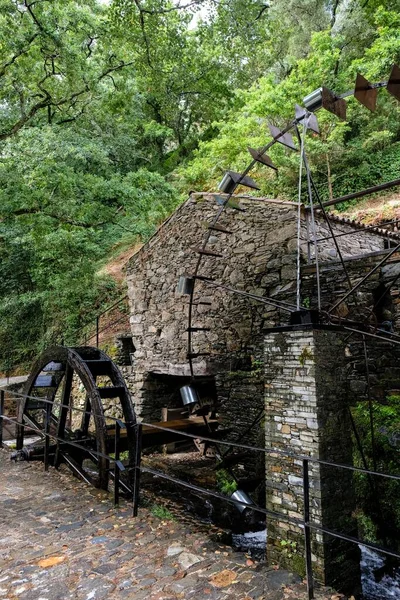 森の中の古い水車の垂直ショット — ストック写真