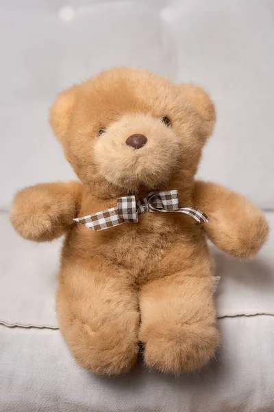 Ein Süßer Teddybär Plüschtier Einem Zimmer — Stockfoto