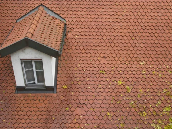 High Angle Shot Orange Tiled House Roof Window — Stock Photo, Image