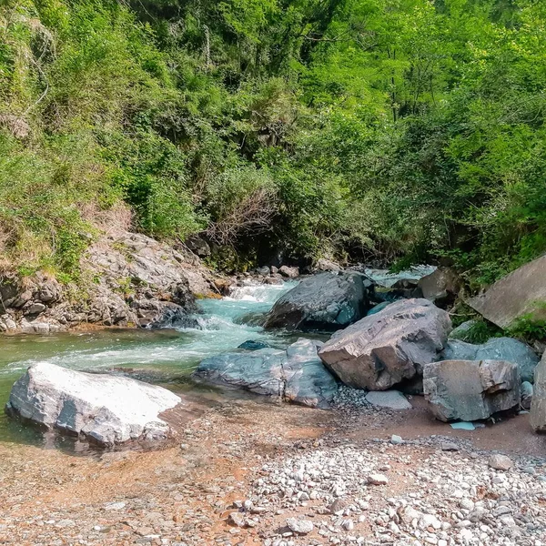 Schöne Aufnahme Eines Fließenden Flusses Mit Großen Felsen Und Bäumen — Stockfoto