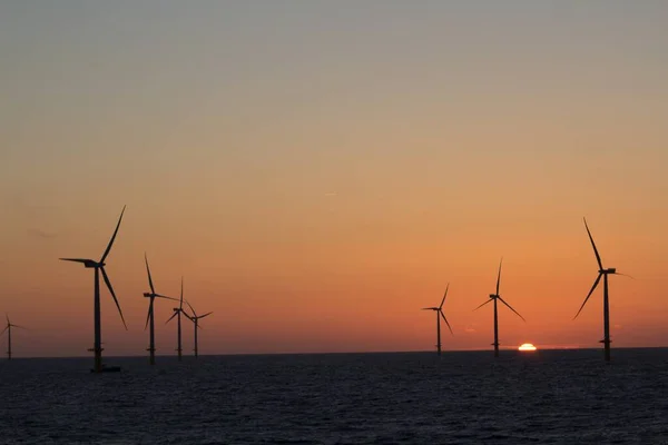 日落时大海中风力发电机的美丽景象 — 图库照片