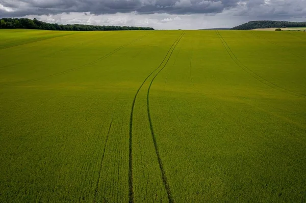 Luftaufnahme Eines Graslandes Bei Bewölktem Wetter — Stockfoto