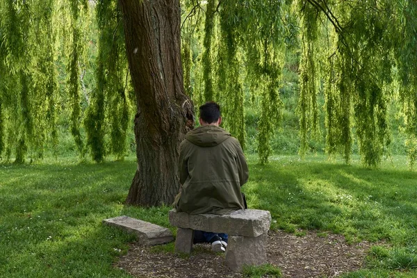 Genç Bir Adam Parktaki Ağacın Altındaki Taş Bir Bankta Oturuyor — Stok fotoğraf