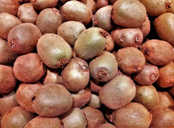 Zbliżenie Ujęcie Wielu Owoców Kiwi — Zdjęcie stockowe