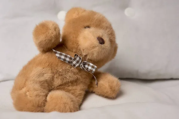 Ein Süßer Teddybär Plüschtier Einem Zimmer — Stockfoto