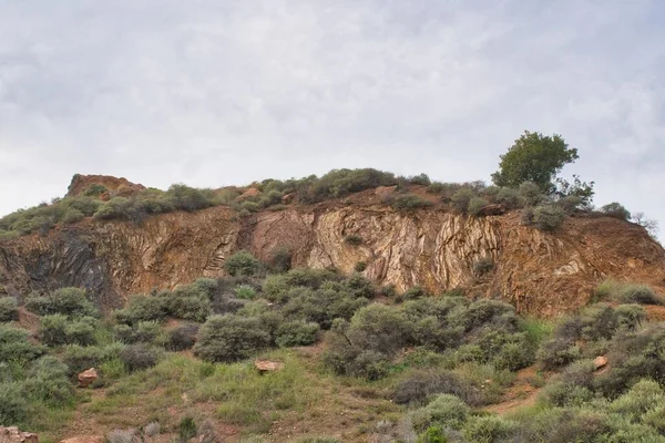 Gündüz Vakti Yeşil Çalılarla Çevrili Bir Kaya — Stok fotoğraf
