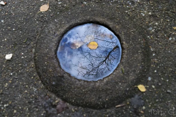 水に満たされた穴の中の木の枝と雲の空の反射 — ストック写真