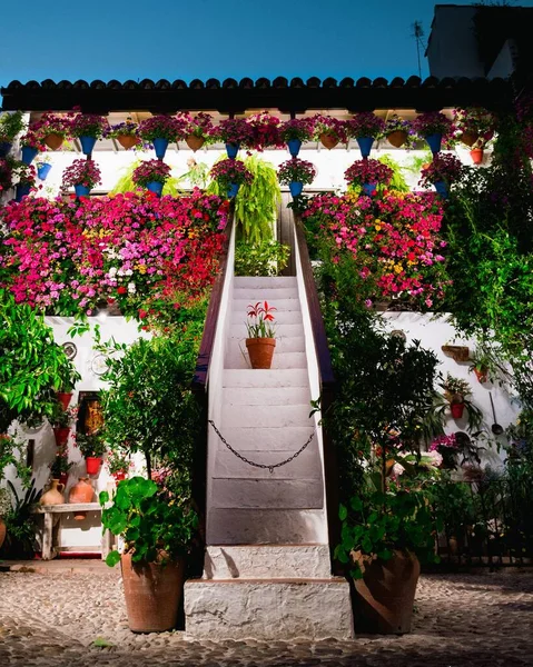 Güzel Renkli Çiçeklerle Dekore Edilmiş Beyaz Bir Bina — Stok fotoğraf