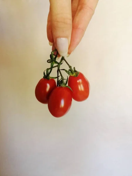 Une Image Verticale Une Tomate Buisson Rouge Sur Fond Blanc — Photo