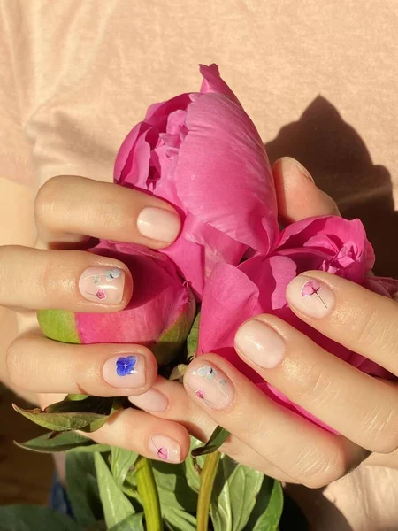 Tiro Vértice Das Mãos Uma Fêmea Segurando Uma Bela Rosa — Fotografia de Stock