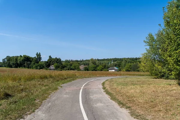 Hermoso Camino Rodeado Campos Cubiertos Hierba Que Conducen Algunas Casas — Foto de Stock